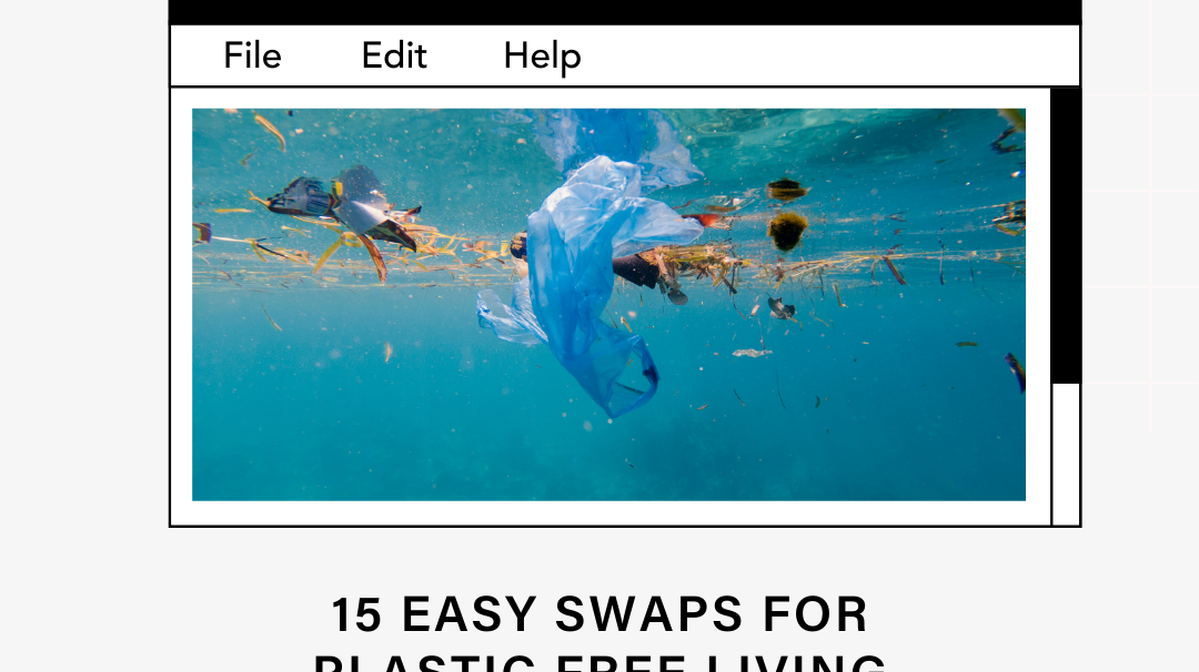 15 Easy Swaps For Plastic Free Living